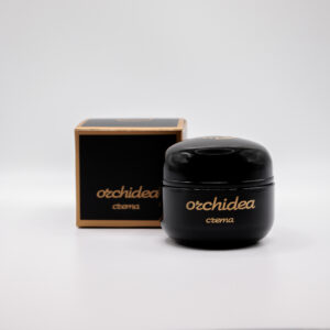 Orchidea Crema - immagine 3