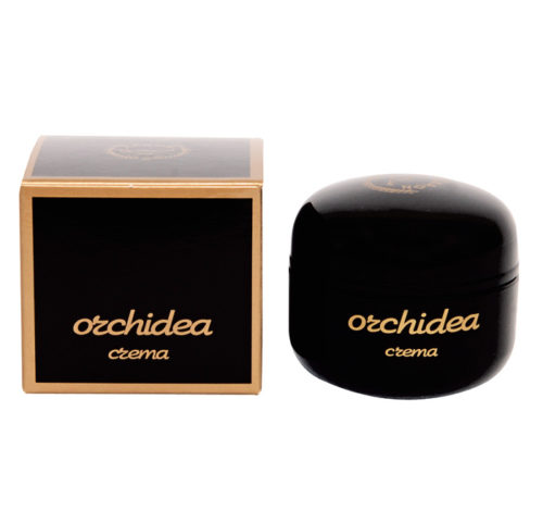 Orchidea crema